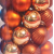 Orange- 28pcs