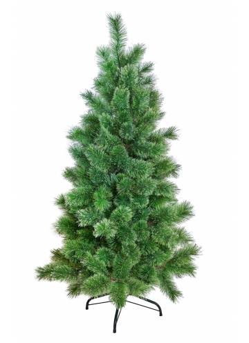 Cashmere Green Pines Tree